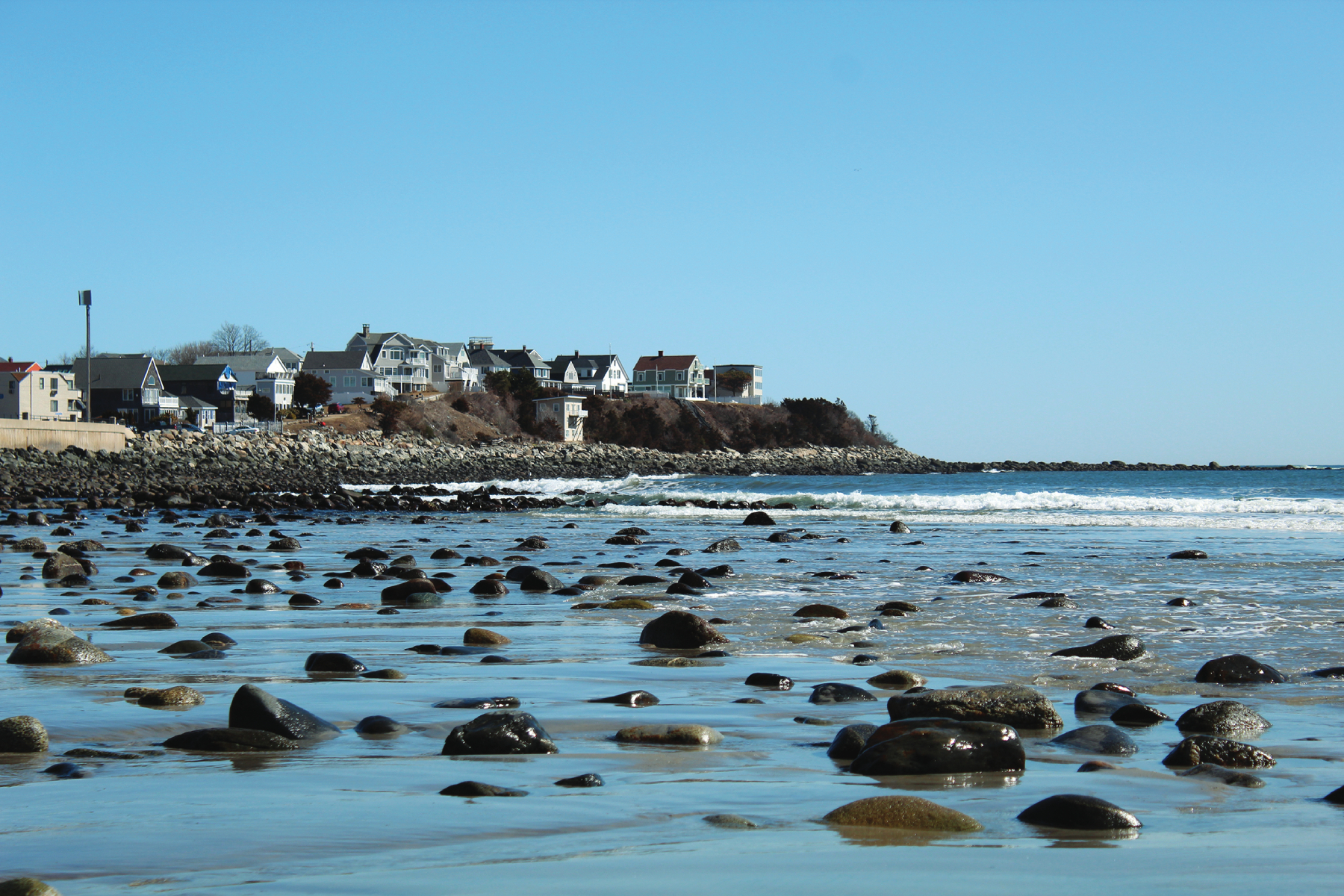 Is Seaweed a Vegetable?